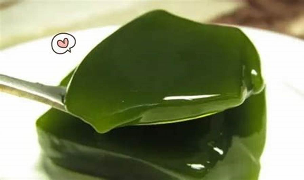 Manfaat Cincau Hijau yang Jarang Diketahui